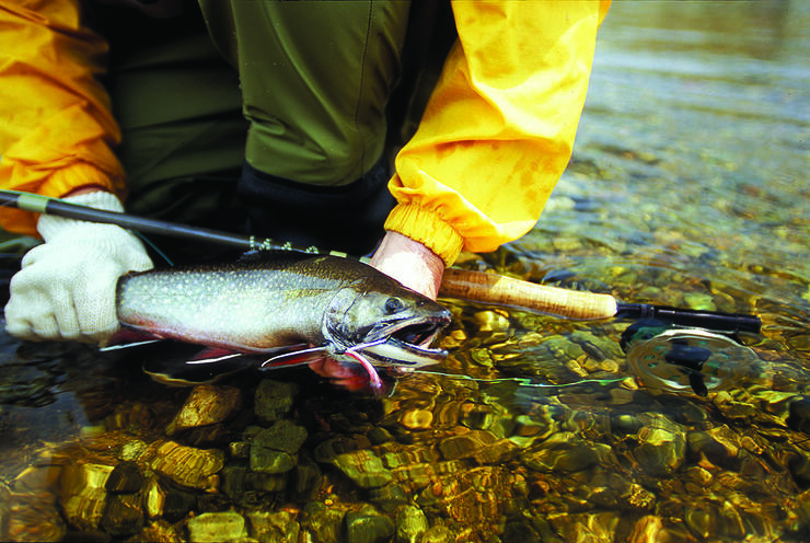 Fly Fishing: An Angler's Paradise Downtown Sault Ste. Marie